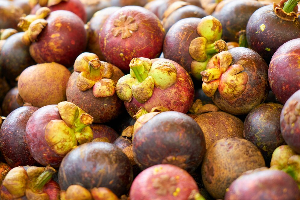 Discovering the Marvelous Mangosteen