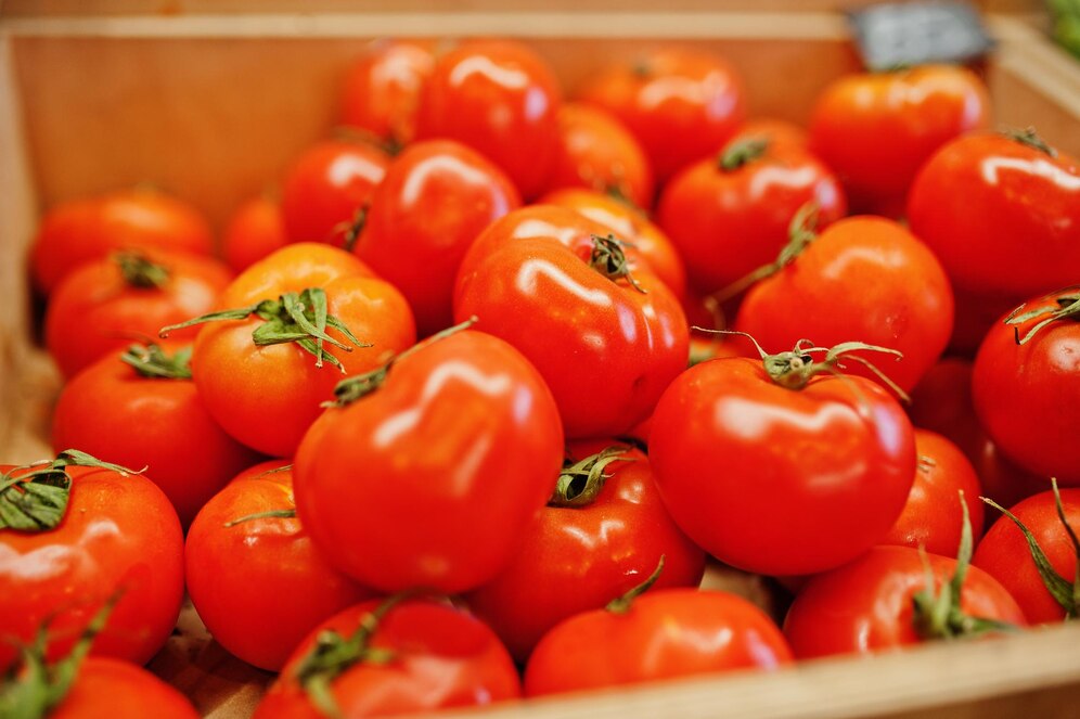 Garden of Delights Savoring the Freshness of Tomatoes